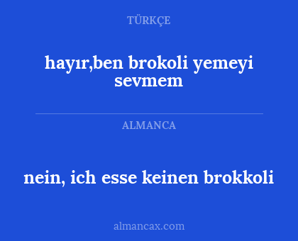 nein, ich esse keinen brokkoli - hayır,ben brokoli yemeyi sevmem