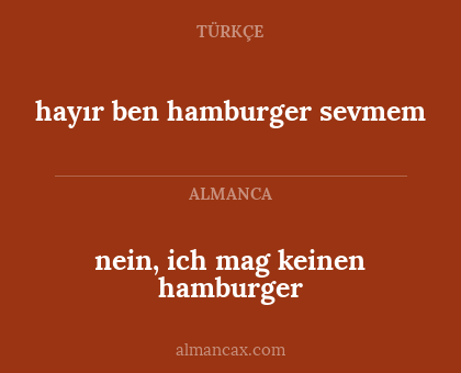 hayır ben hamburger sevmem - nein, ich mag keinen hamburger