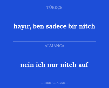 hayır, ben sadece bir nitch - nein ich nur nitch auf
