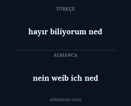nein weib ich ned - hayır biliyorum ned
