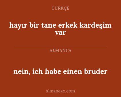 nein, ich habe einen bruder - hayır bir tane erkek kardeşim var