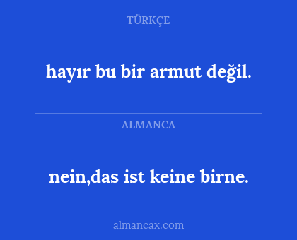 nein,das ist keine birne. - hayır bu bir armut değil.
