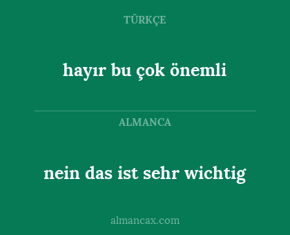nein das ist sehr wichtig - hayır bu çok önemli
