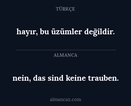 nein, das sind keine trauben. - hayır, bu üzümler değildir.