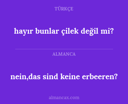 nein,das sind keine erbeeren? - hayır bunlar çilek değil mi?