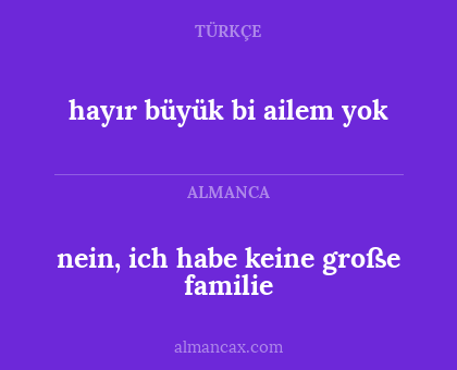 nein, ich habe keine große familie - hayır büyük bi ailem yok