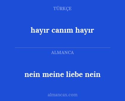 nein meine liebe nein - hayır canım hayır