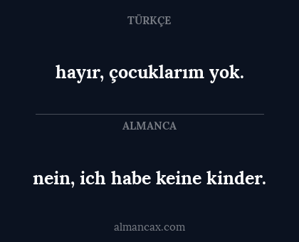 hayır, çocuklarım yok. - nein, ich habe keine kinder.
