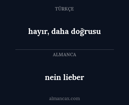 nein lieber - hayır, daha doğrusu