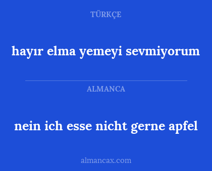 nein ich esse nicht gerne apfel - hayır elma yemeyi sevmiyorum