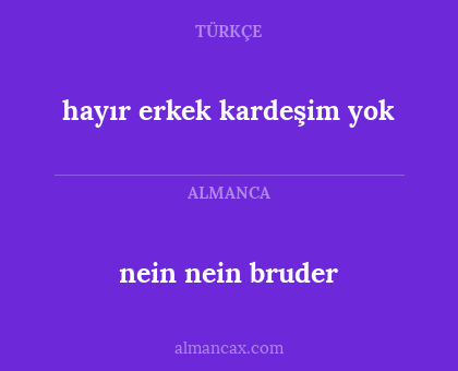 hayır erkek kardeşim yok - nein nein bruder