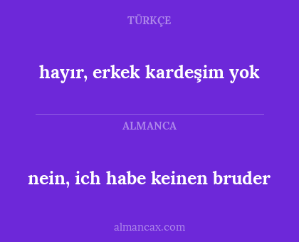 hayır, erkek kardeşim yok - nein, ich habe keinen bruder