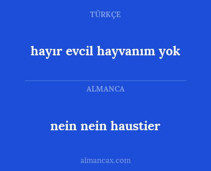 hayır evcil hayvanım yok - nein nein haustier