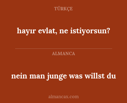 hayır evlat, ne istiyorsun? - nein man junge was willst du