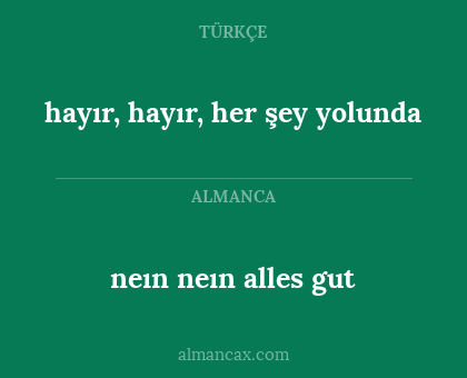 hayır, hayır, her şey yolunda - neın neın alles gut