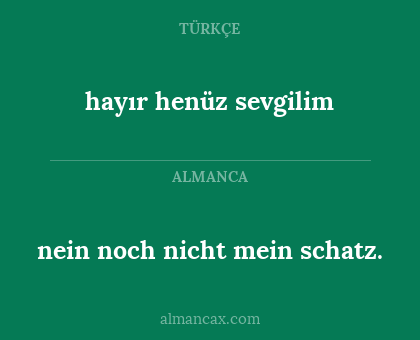 nein noch nicht mein schatz. - hayır henüz sevgilim