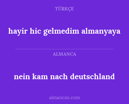 hayir hic gelmedim almanyaya - nein kam nach deutschland