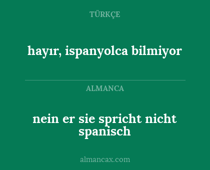 nein er sie spricht nicht spanisch - hayır, ispanyolca bilmiyor