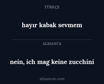 nein, ich mag keine zucchini - hayır kabak sevmem