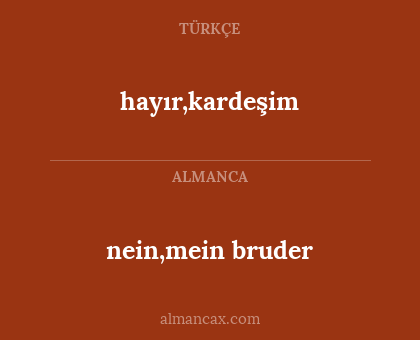 nein,mein bruder - hayır,kardeşim