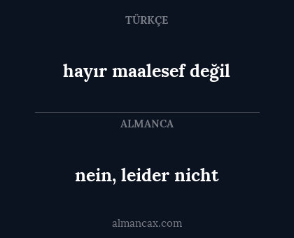 nein, leider nicht - hayır maalesef değil