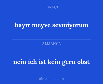 nein ich ist kein gern obst - hayır meyve sevmiyorum