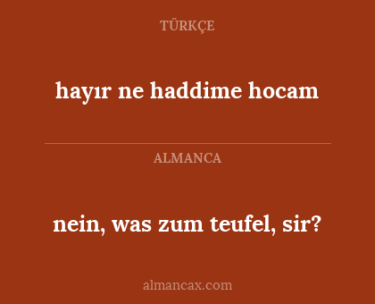 nein, was zum teufel, sir? - hayır ne haddime hocam