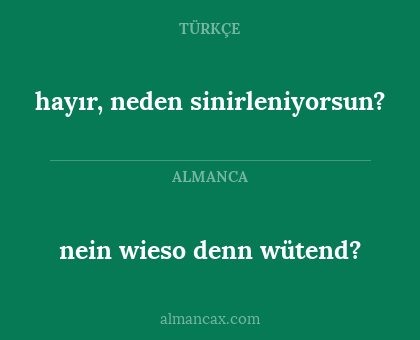 hayır, neden sinirleniyorsun? - nein wieso denn wütend?