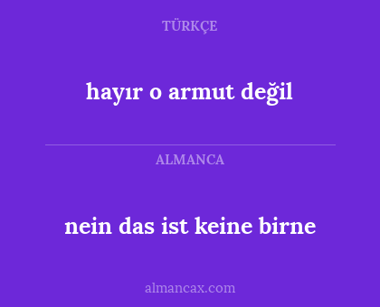 hayır o armut değil - nein das ist keine birne