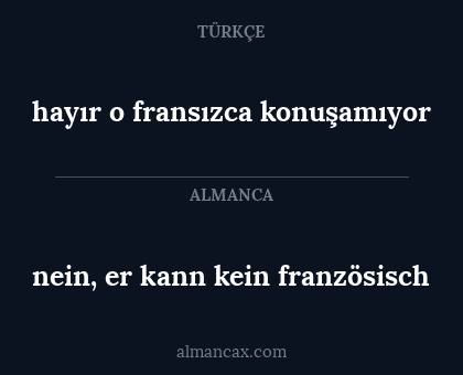 nein, er kann kein französisch - hayır o fransızca konuşamıyor