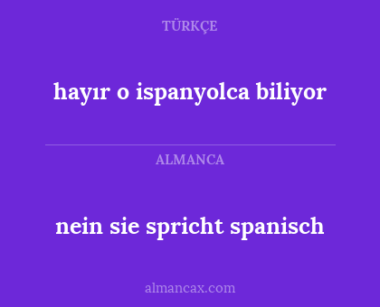 nein sie spricht spanisch - hayır o ispanyolca biliyor