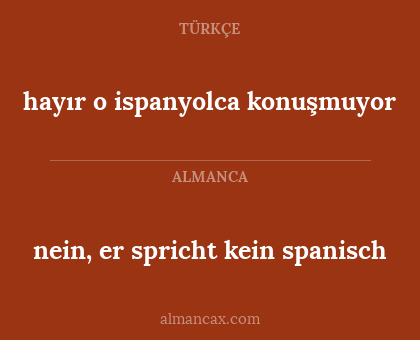 nein, er spricht kein spanisch - hayır o ispanyolca konuşmuyor