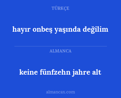 keine fünfzehn jahre alt - hayır onbeş yaşında değilim