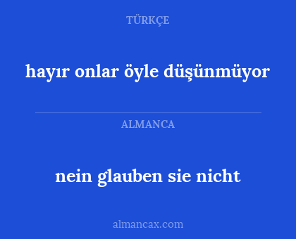 hayır onlar öyle düşünmüyor - nein glauben sie nicht