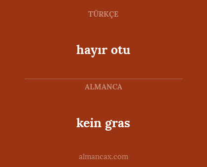 kein gras - hayır otu