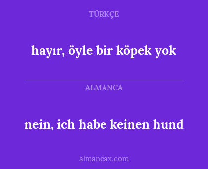 nein, ich habe keinen hund - hayır, öyle bir köpek yok