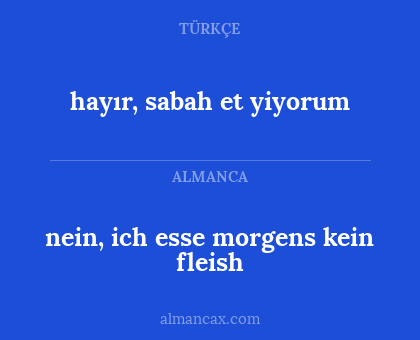 nein, ich esse morgens kein fleish - hayır, sabah et yiyorum