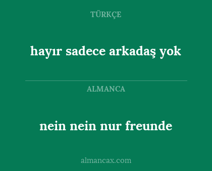 nein nein nur freunde - hayır sadece arkadaş yok