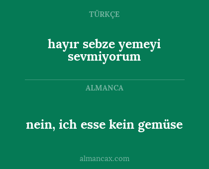 nein, ich esse kein gemüse - hayır sebze yemeyi sevmiyorum