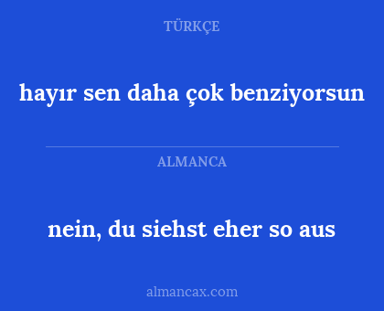 nein, du siehst eher so aus - hayır sen daha çok benziyorsun