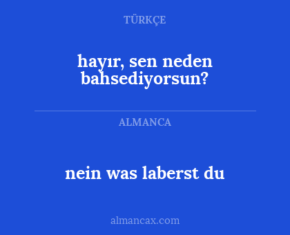hayır, sen neden bahsediyorsun? - nein was laberst du