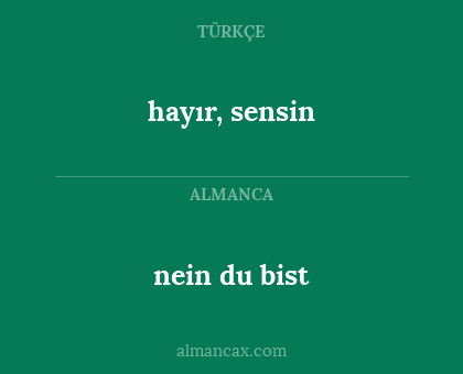 nein du bist - hayır, sensin
