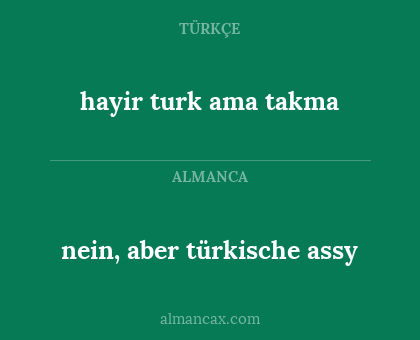 hayir turk ama takma - nein, aber türkische assy