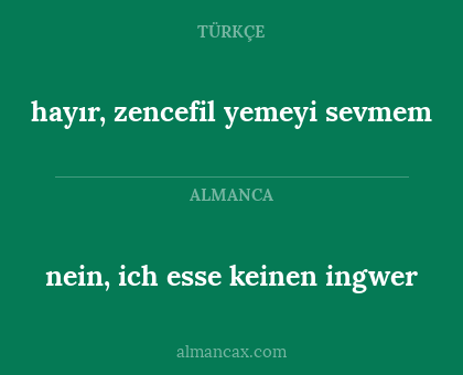 nein, ich esse keinen ingwer - hayır, zencefil yemeyi sevmem