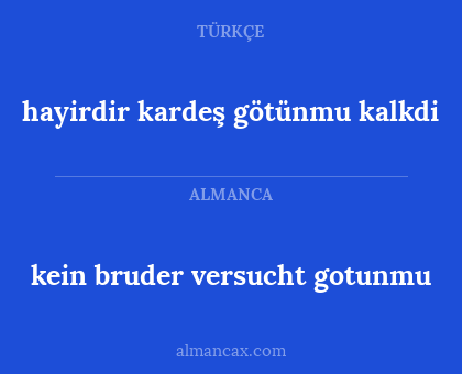 hayirdir kardeş götünmu kalkdi - kein bruder versucht gotunmu