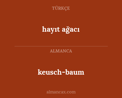 keusch-baum - hayıt ağacı