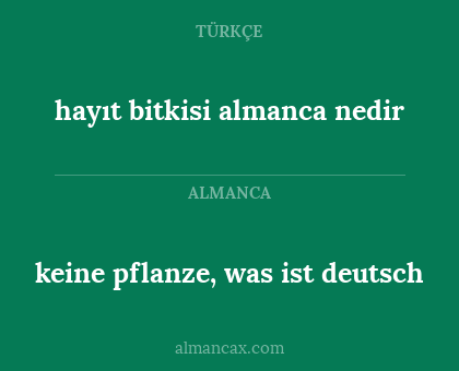 hayıt bitkisi almanca nedir - keine pflanze, was ist deutsch