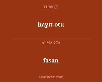 fasan - hayıt otu