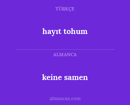 keine samen - hayıt tohum