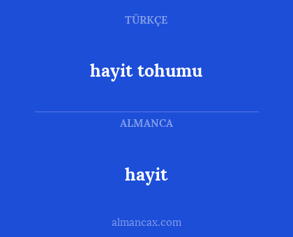 hayit tohumu - hayit